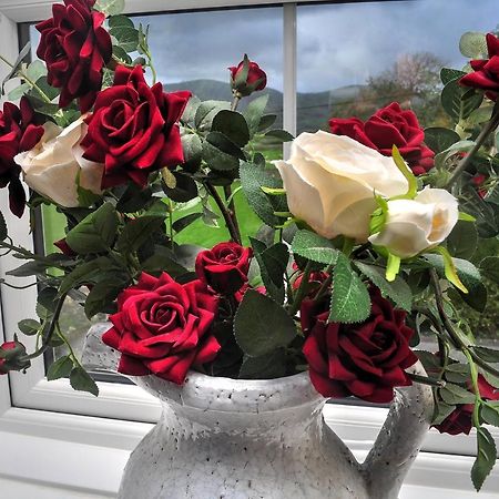 Peniarth Arms Hotel Llanegryn ภายนอก รูปภาพ